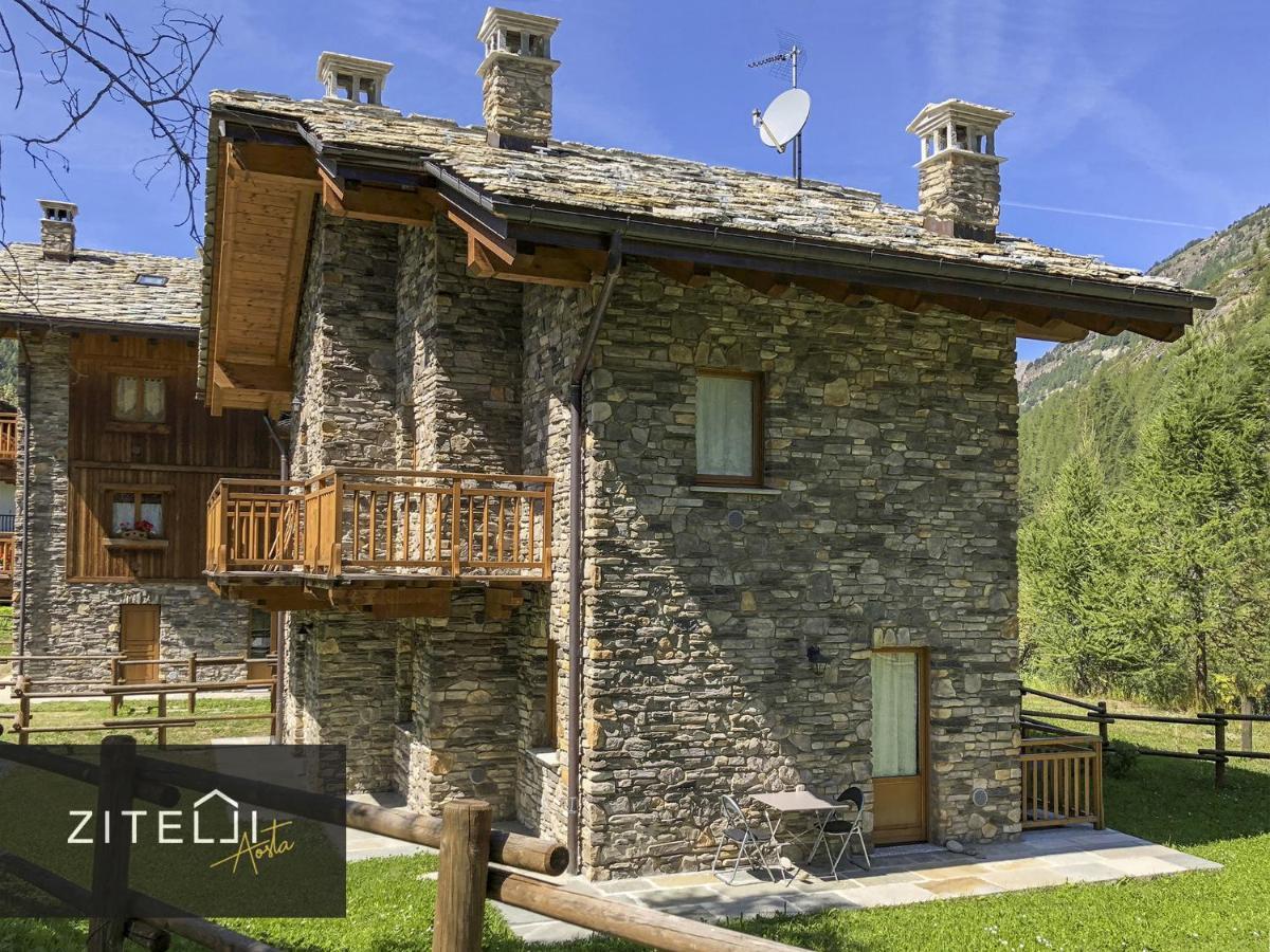 Zitelli Aosta Villa Cogne Bagian luar foto